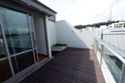 Radiance @ Bukit Timah (D21), Terrace #474723811